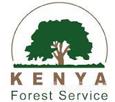 Manager, Administration, Infrastructure & Maintenance Job at Kenya Forest Service