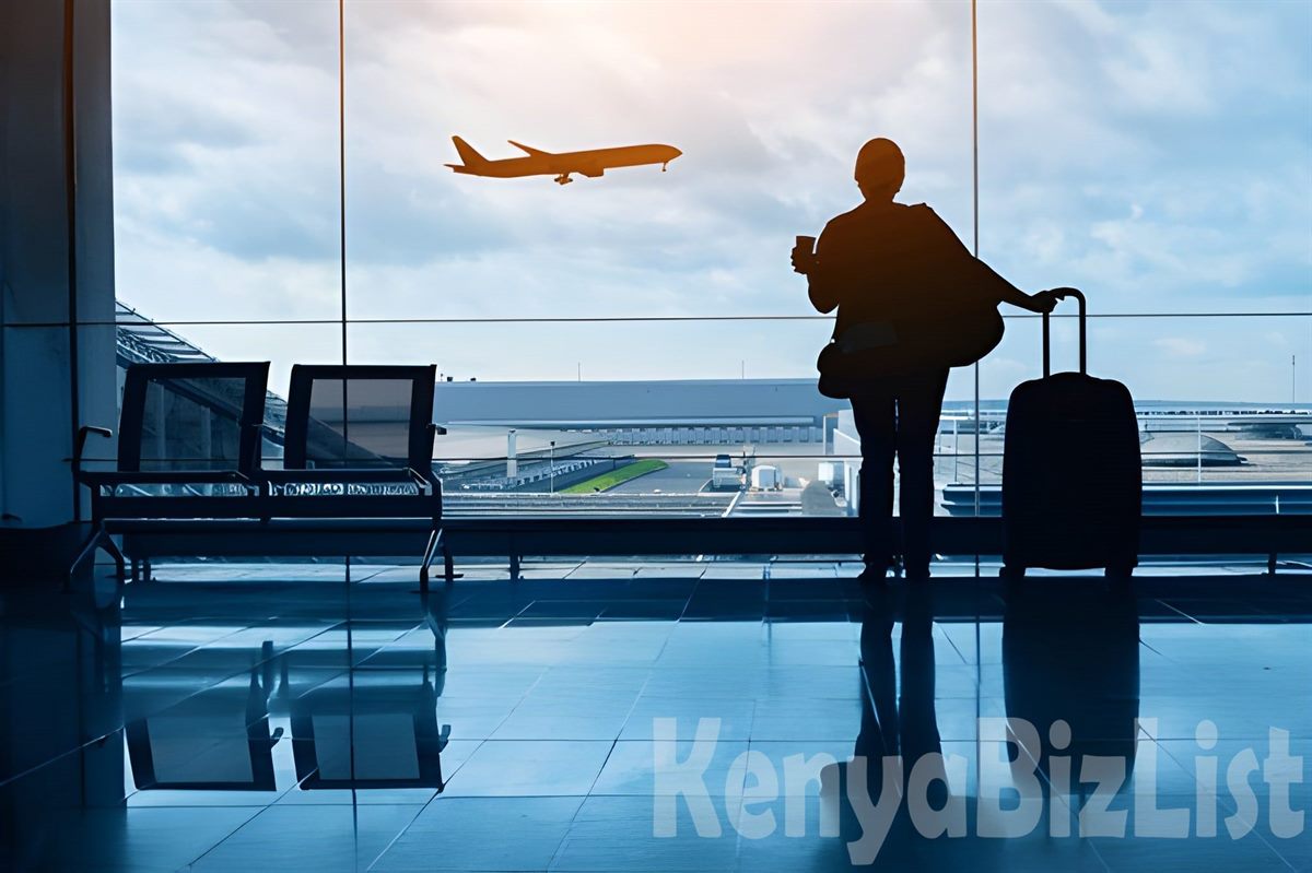 Blueberry Travel Kenya | Domestic Flight Booking Nairobi