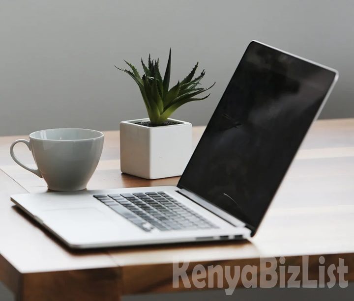 Professional Company Profile Services