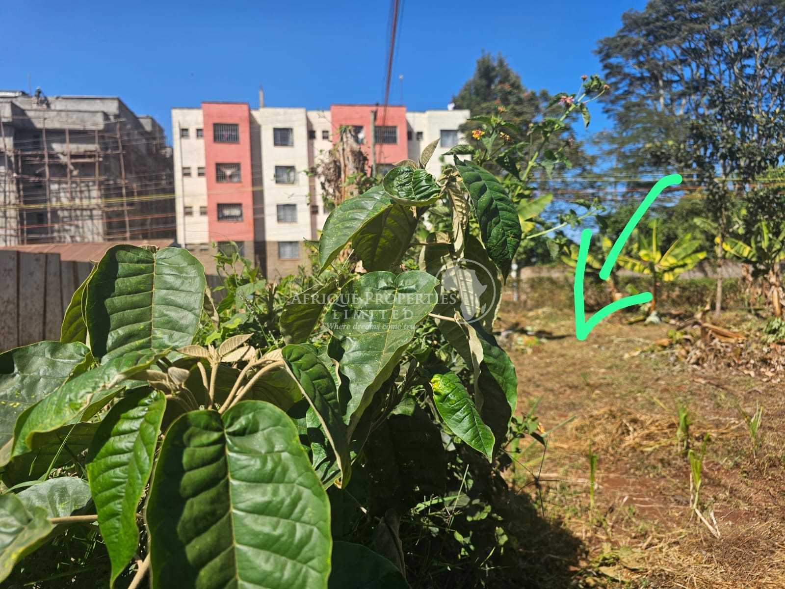 50ft by 100ft Commercial Plot for Sale in Muthiga, Kiambu (Kenya)
