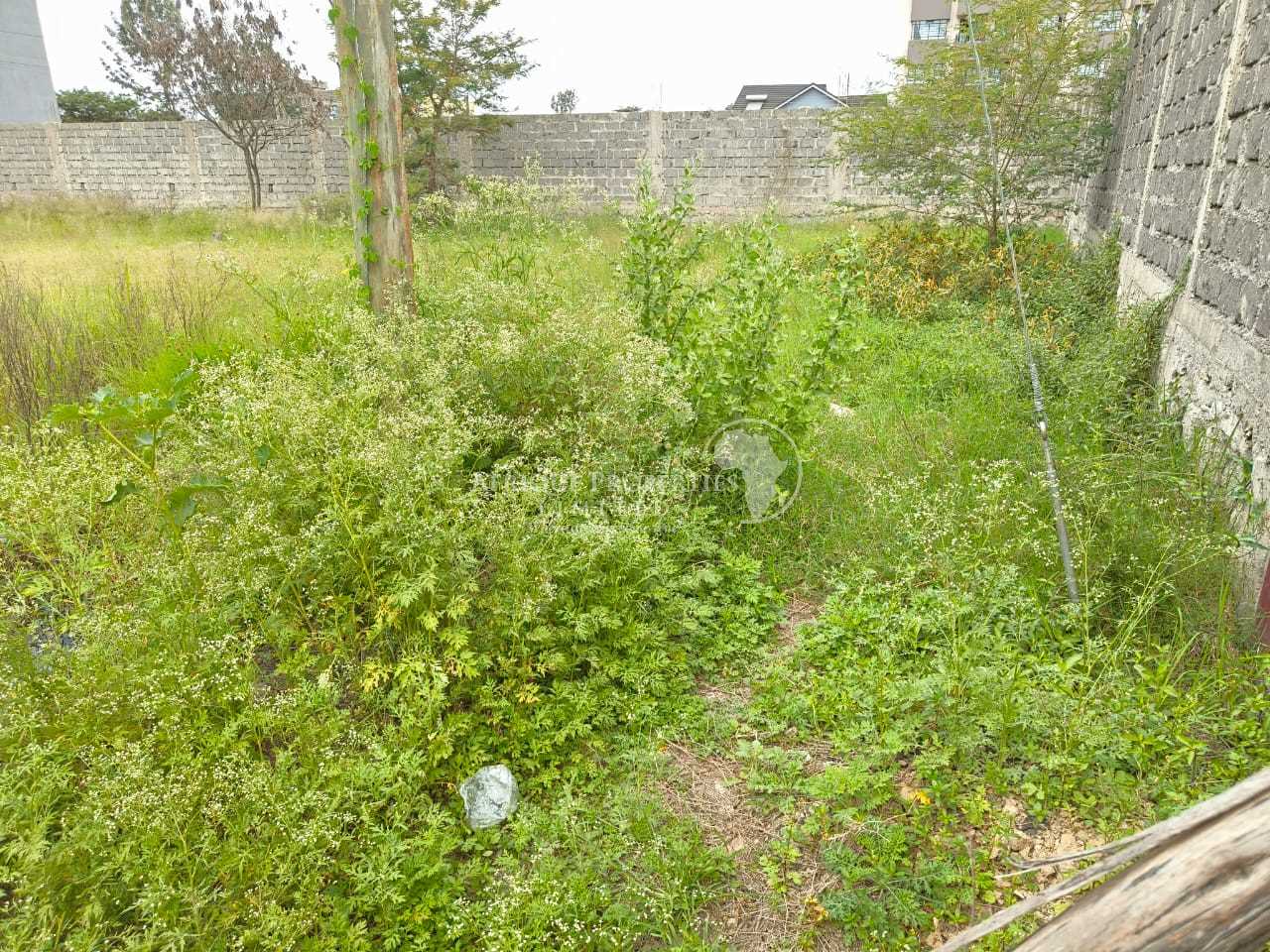 50ft by 100ft Commercial Plot For Sale in Kamakis Bypass, Kiambu (Kenya)