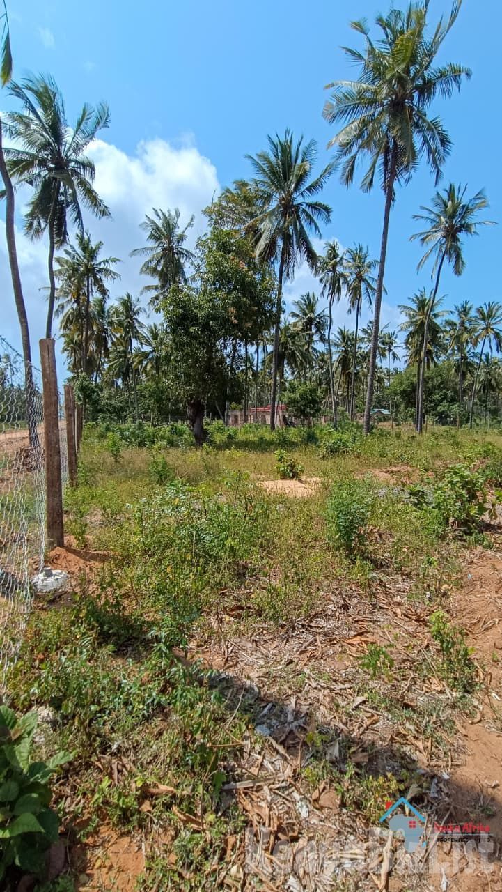 50 x 100 ft land for Sale in Chumani, Coastal Region