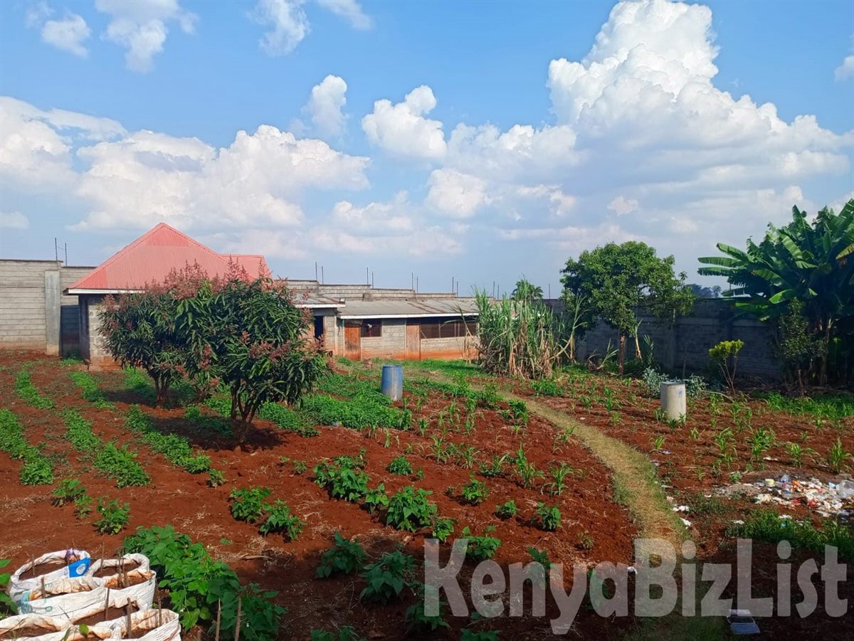 Half-Acre Plot for Sale – Cianda, Kiambu Road