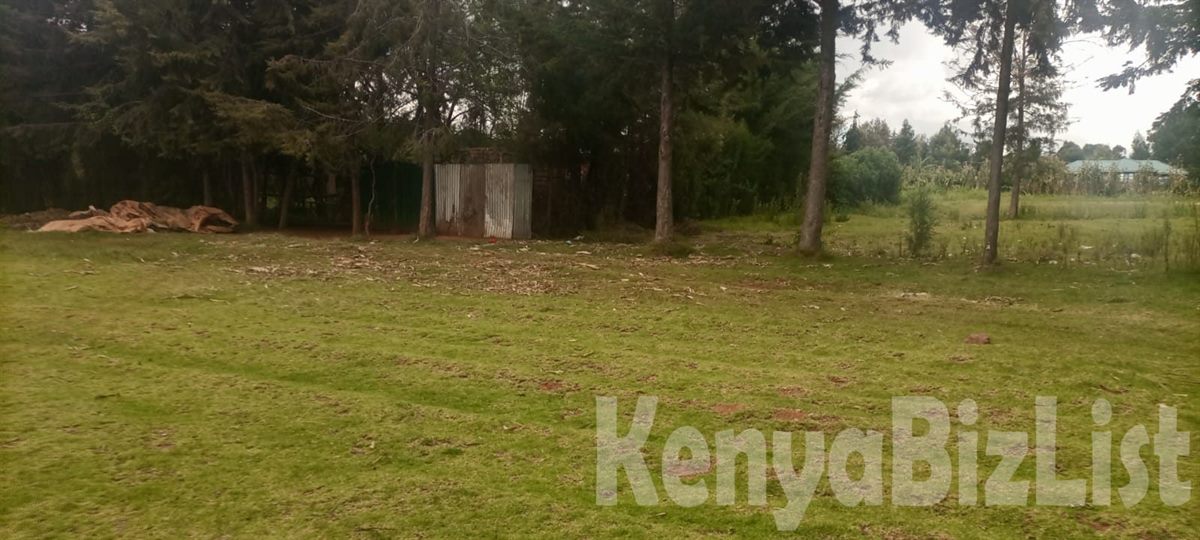 1/2 Acre Commercial Plot for Sale - Kwa Mumero, Timau