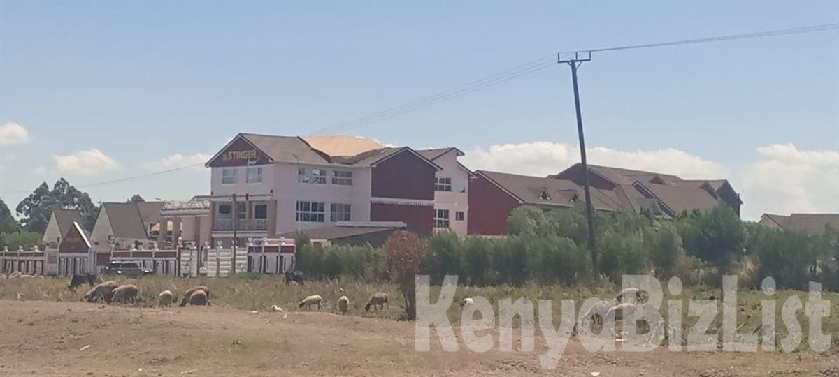 Plot for Sale Near Nanyuki Airstrip | Along Nyeri–Nanyuki Highway