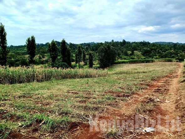 Land for Sale in Samar, Maragua