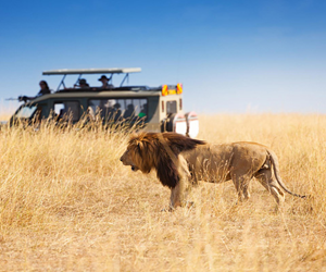 20221108103244-Safaris-1.jpg.jpg