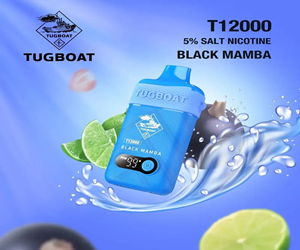 20250224184012-black-mamba-tugboat-t12000.jpeg.jpg