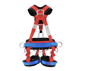 20250625183350-Safety-harnesses-Kenya.png.jpg