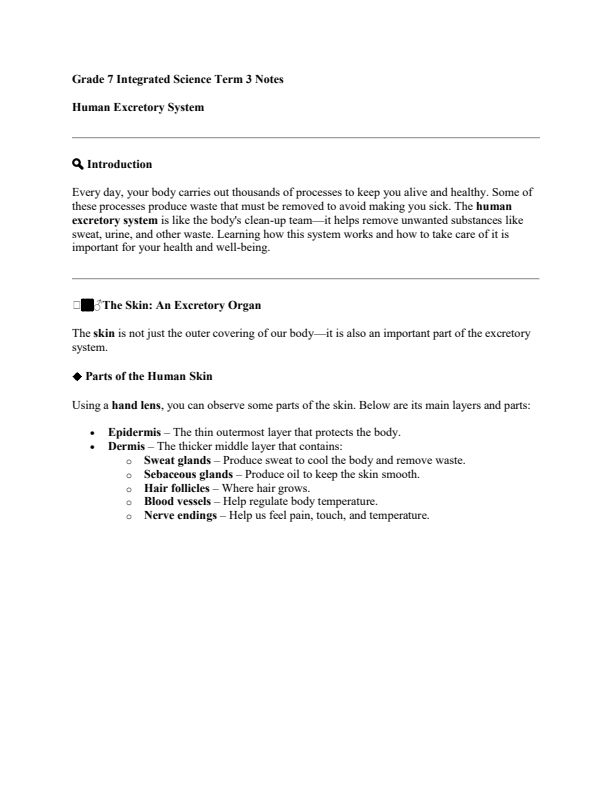 Grade 7 Integrated Science Notes Term 3