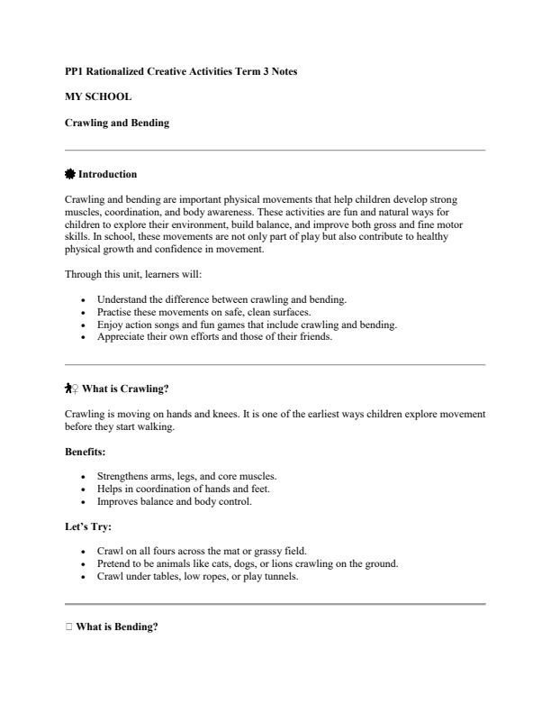PP1 Creative Activities Notes Term 3