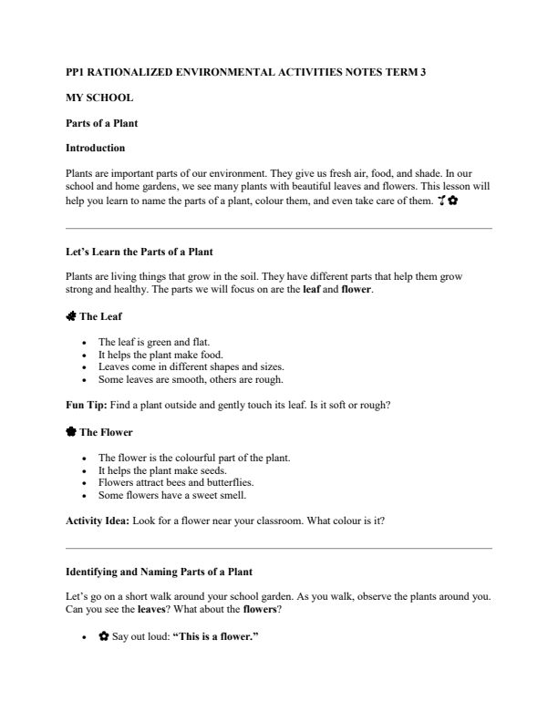 PP1 Environmental Activities Notes Term 3