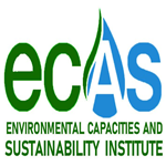 ECAS Institute