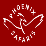 Phoenix Safaris