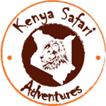 Kenya Safari Adventures