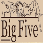 Big Five Tours & Safaris Ltd