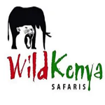 Wild Kenya Safaris