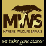 Mawenzi Wildlife Safaris Ltd
