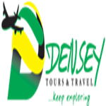 Densey Tours & Travel Ltd