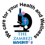  The Zambezi Hospital