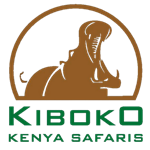 Kiboko Kenya Safaris