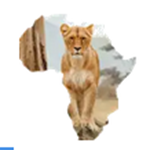 Saunterland Africa Tours & Safaris