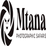 Mtana Safaris Ltd
