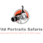 Wild Portraits Safaris