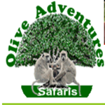 Olive Adventures Safaris