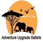 Adventure Upgrade Safaris