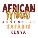 African Wildcats Adventure safaris
