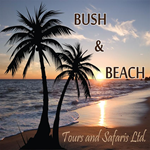 Bush and Beach Safaris