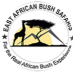 East African Bush Safaris