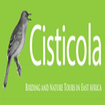 Cisticola Tours