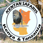 Kentan Safaris