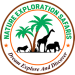 Nature Exploration safaris