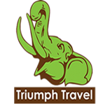 Triumph Travel Kenya