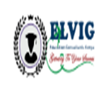 Elvig Education Consultants