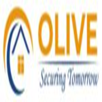 Olive Limited