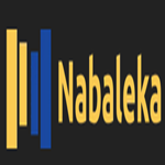 Nabaleka Web Designers