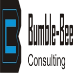 Bumble-Bee Consulting Ltd