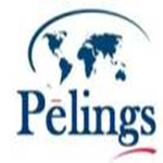 Pelings Security Limited