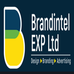 BrandIntel EXP Ltd