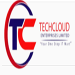 Techcloud Enterprises Limited