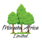 Minneta Africa Ltd
