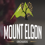 Mount Elgon Orchards