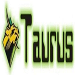 Taurus Business Systems