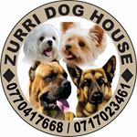 ZURRI Dog House & SPA