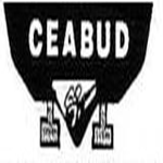 Ceabud Engineering Services