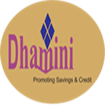 Dhamini Sacco Society Limited